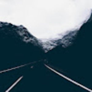 Meet your Posher, Darwin